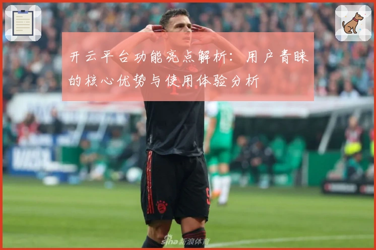 开云平台功能亮点解析：用户青睐的核心优势与使用体验分析